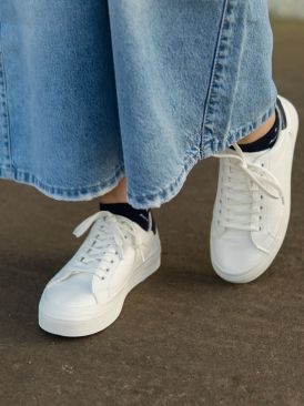 ونس بندی کد 19951